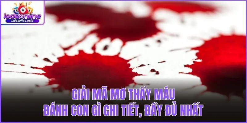 Giải mã mơ thấy máu đánh con gì chi tiết, đầy đủ nhất